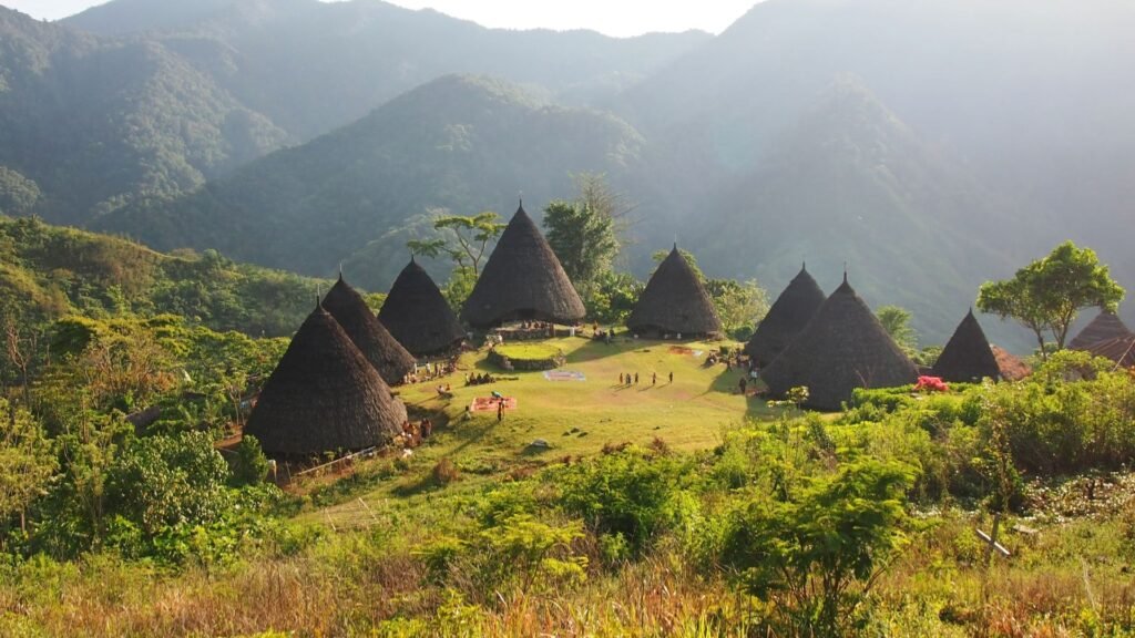wae rebo