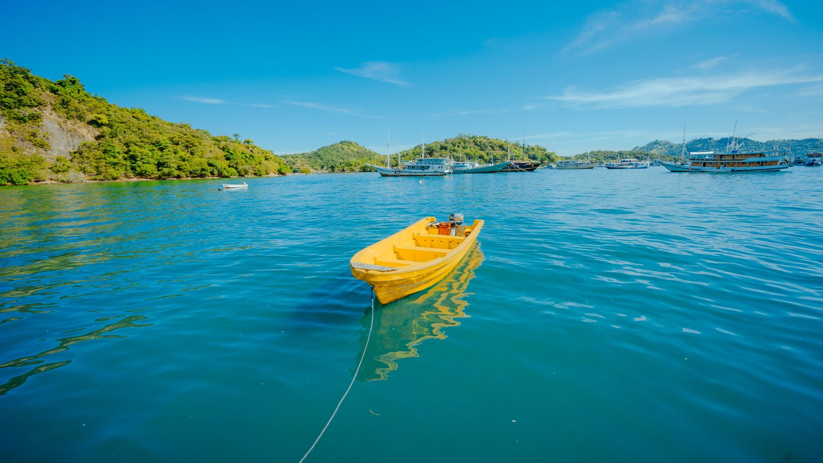 Speedboat